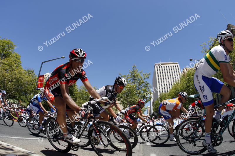 Peloton001p.jpg